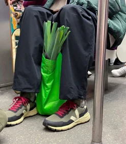 DEKKAN RIPSTOP KAKI PIERRE<VEJA Hot